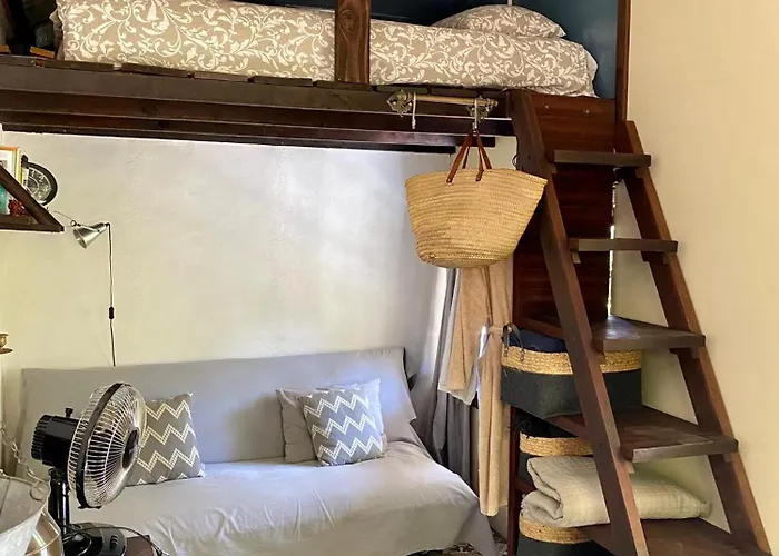 Unique Tiny House With Natural Building Techniques