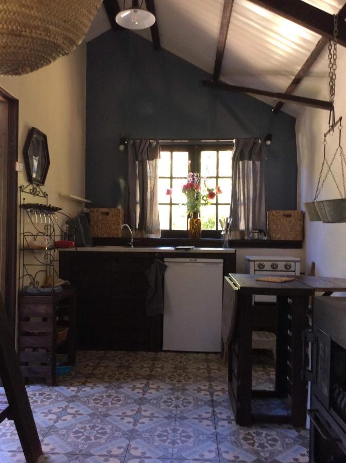 Unique Tiny House With Natural Building Techniques * Figueiro Dos Vinhos