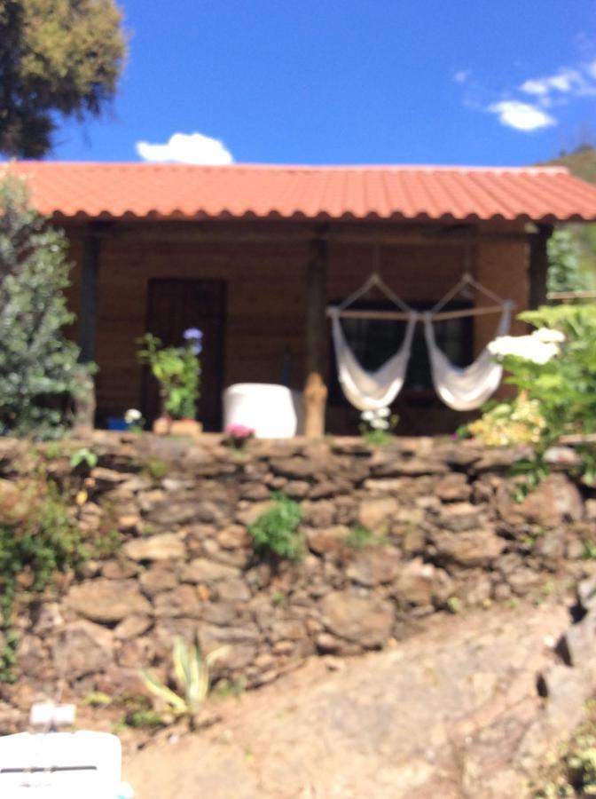 Unique Tiny House With Natural Building Techniques Campsite