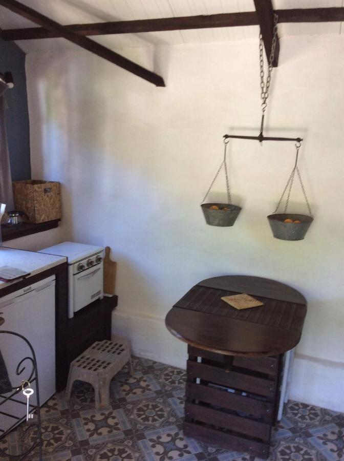 Unique Tiny House With Natural Building Techniques Figueiro Dos Vinhos
