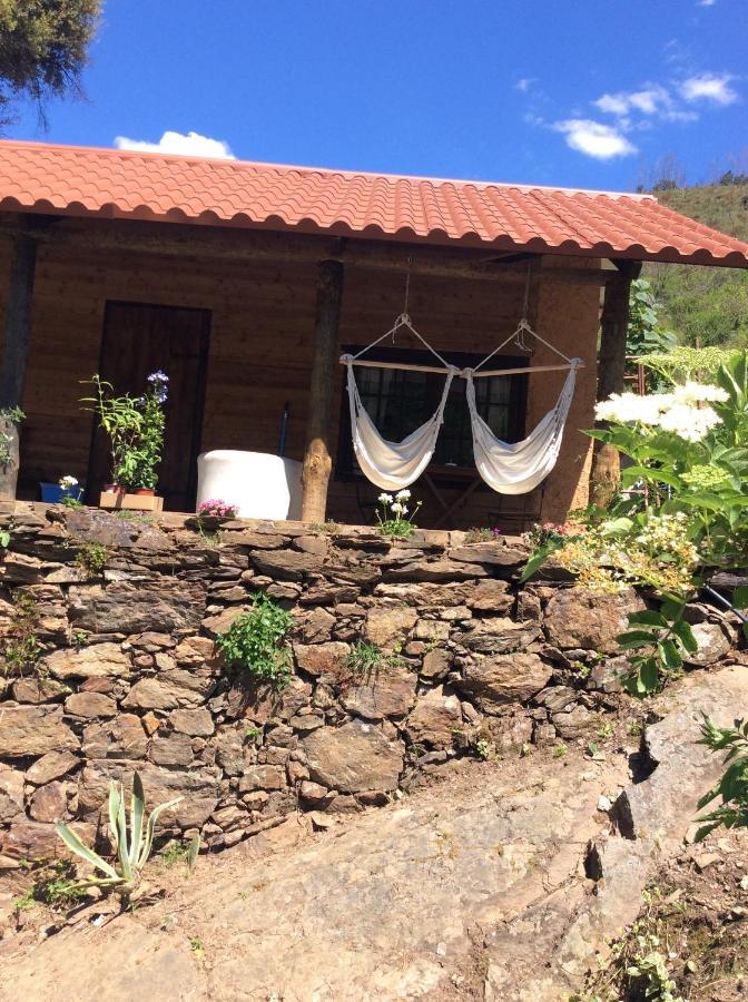 Campsite Unique Tiny House With Natural Building Techniques *