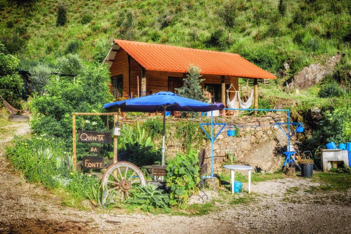 Campsite Unique Tiny House With Natural Building Techniques