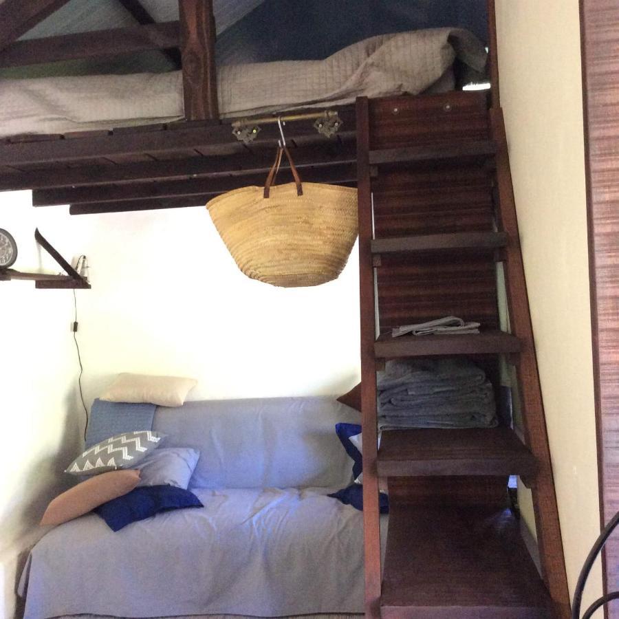 Campsite Unique Tiny House With Natural Building Techniques