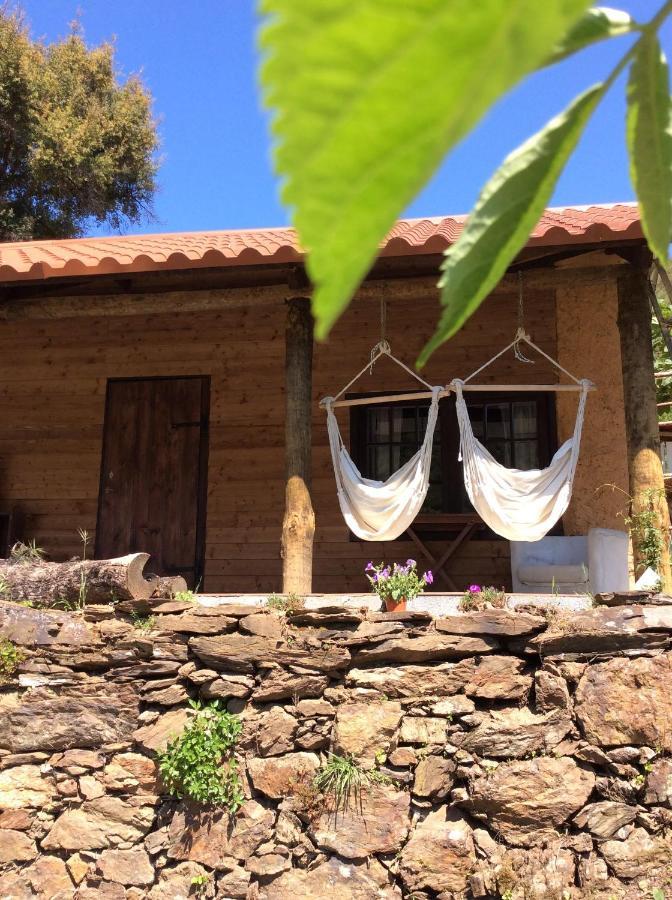 Unique Tiny House With Natural Building Techniques * Figueiro Dos Vinhos