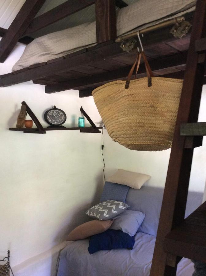 Unique Tiny House With Natural Building Techniques Campsite Figueiro Dos Vinhos
