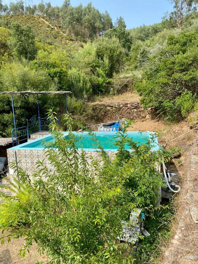 Unique Tiny House With Natural Building Techniques Campsite Figueiro Dos Vinhos