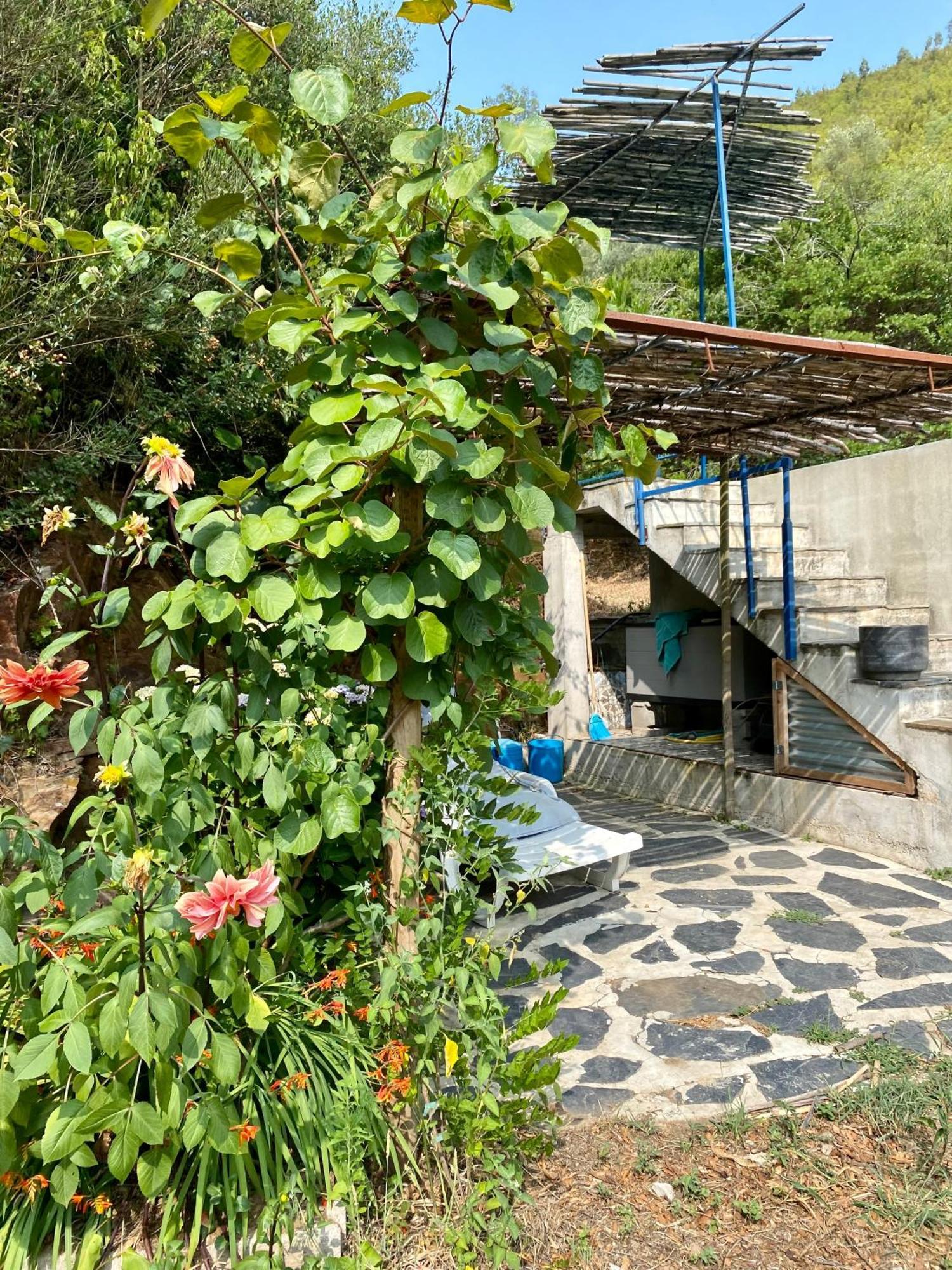 Unique Tiny House With Natural Building Techniques