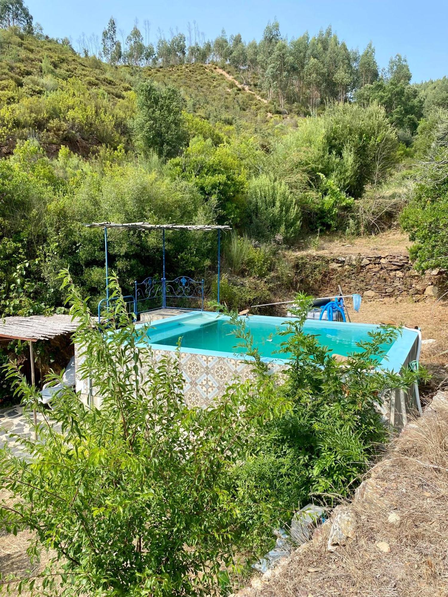 Campsite Unique Tiny House With Natural Building Techniques Figueiro Dos Vinhos